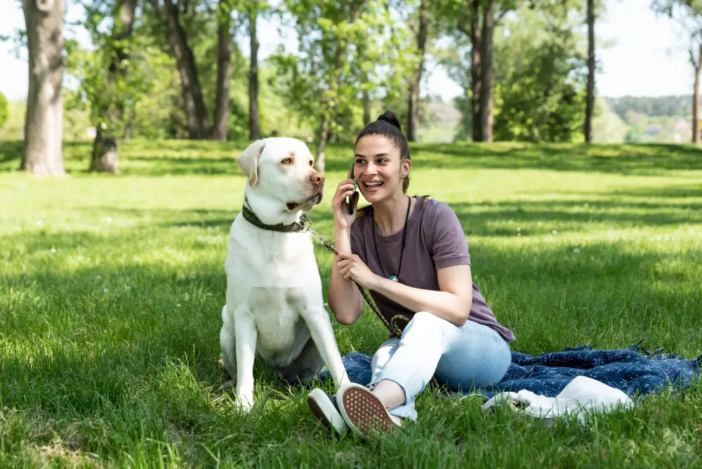 amipets.cz