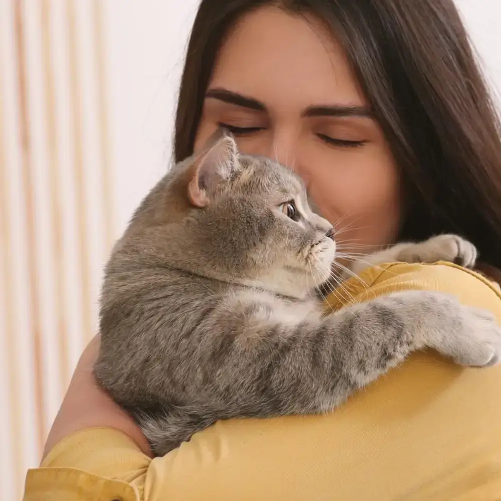 amipets.cz